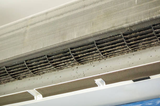 Best Commercial Air Duct Cleaning  in Bowling Green, FL